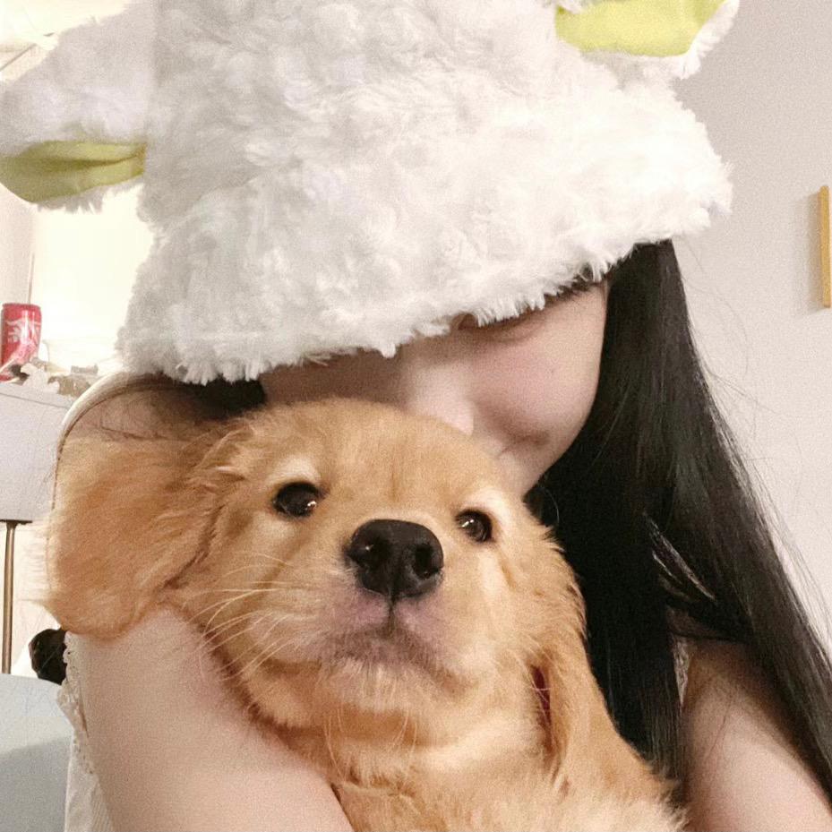 快乐环岛呀