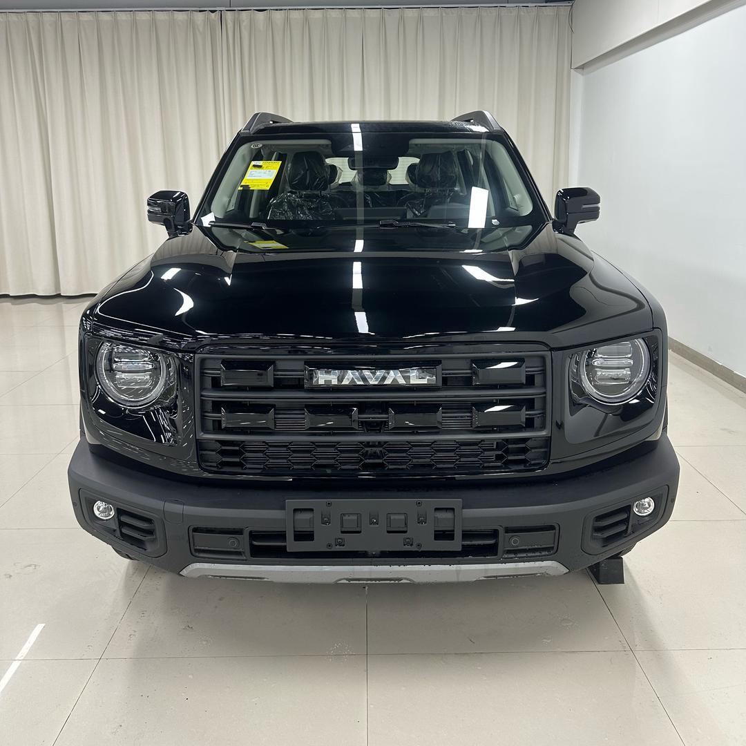 龙哥讲哈弗大狗