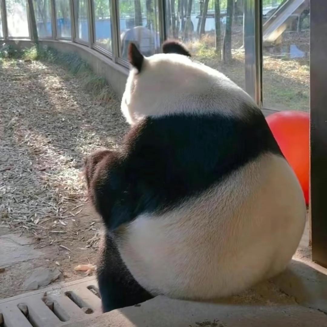 不服老小朋友