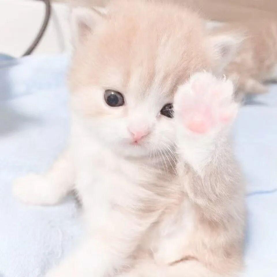 ^u^
