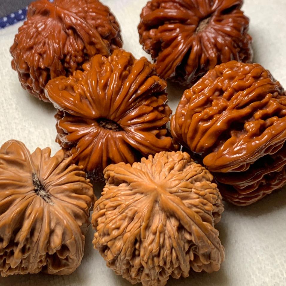 核精装备