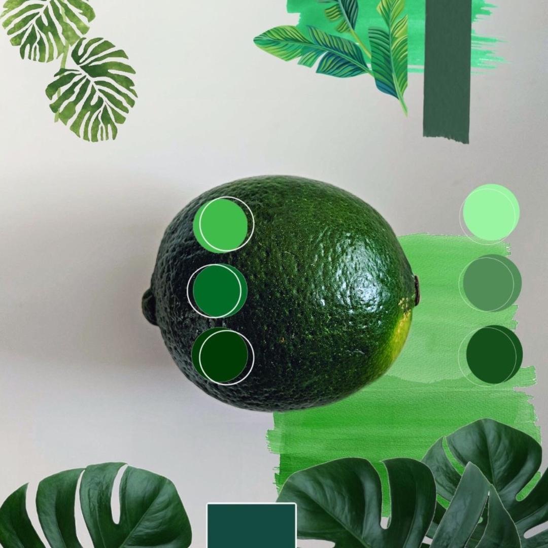 小甜甜好物推荐官