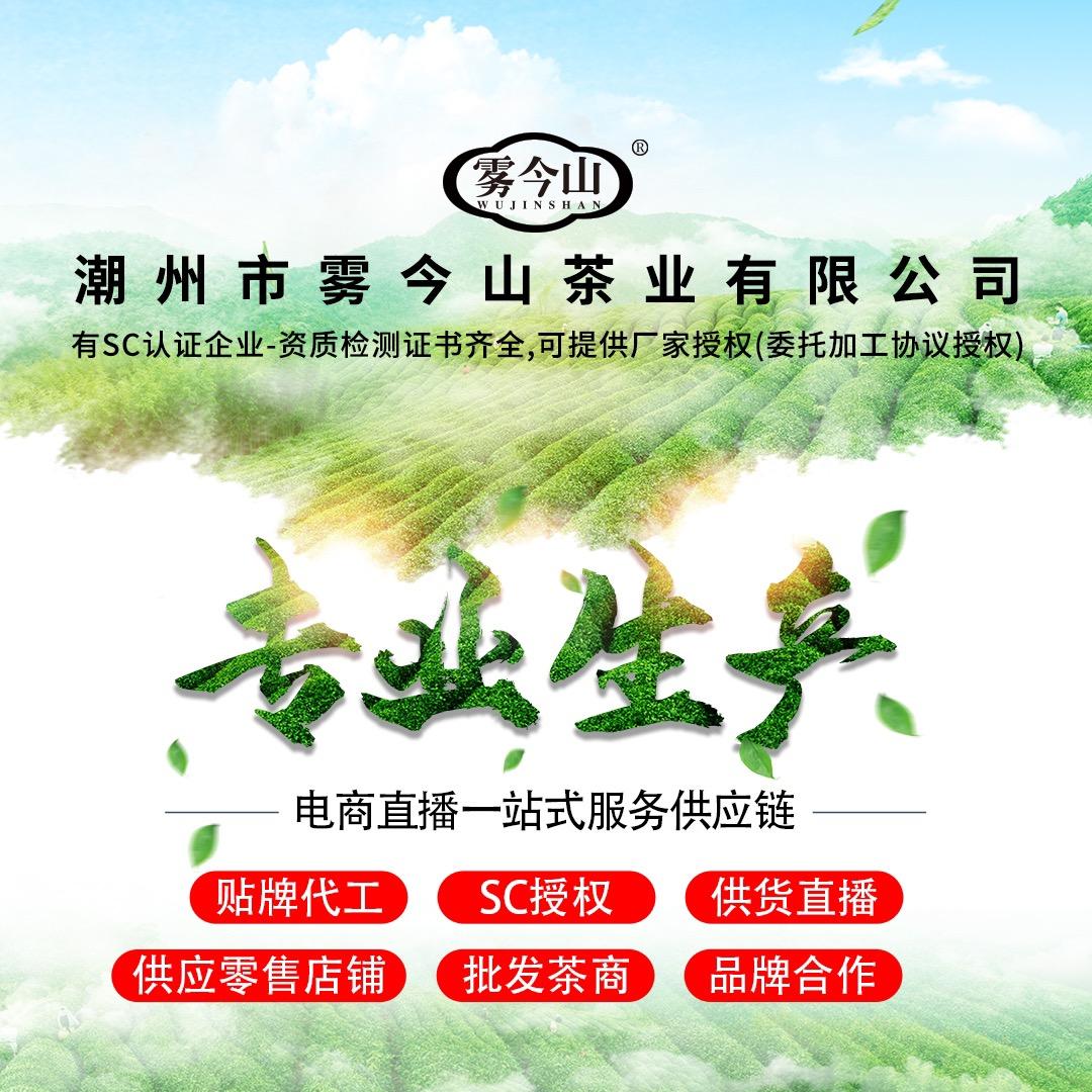 SC授权 雾今山单丛茶供应链