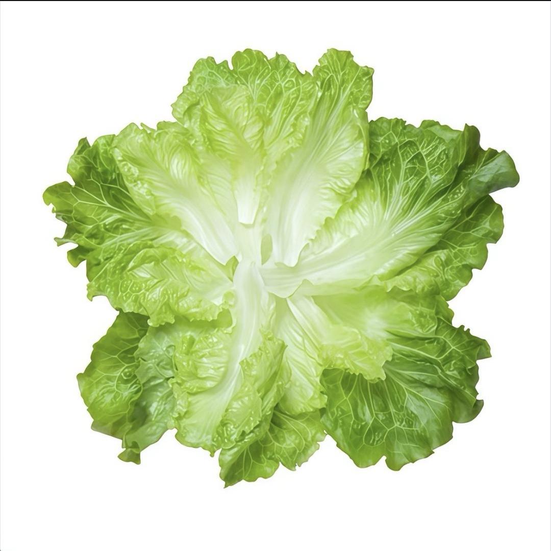 ༺ཌༀൢ猪事顺意ൢༀད༻