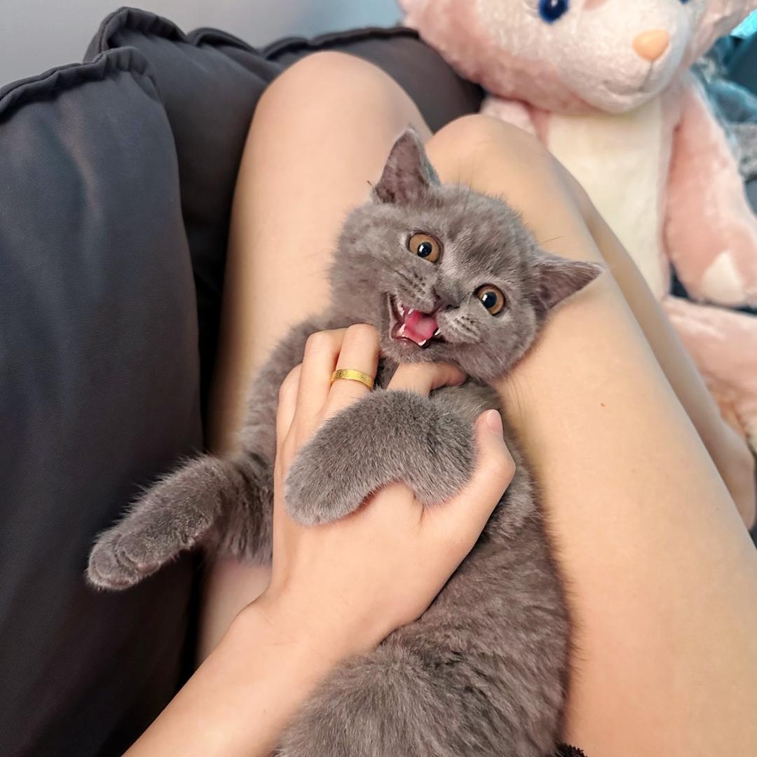 杨baby～