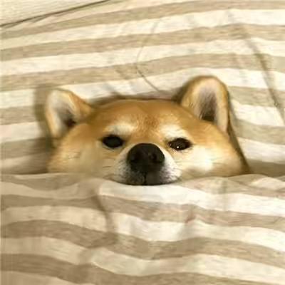 小心爆笑社
