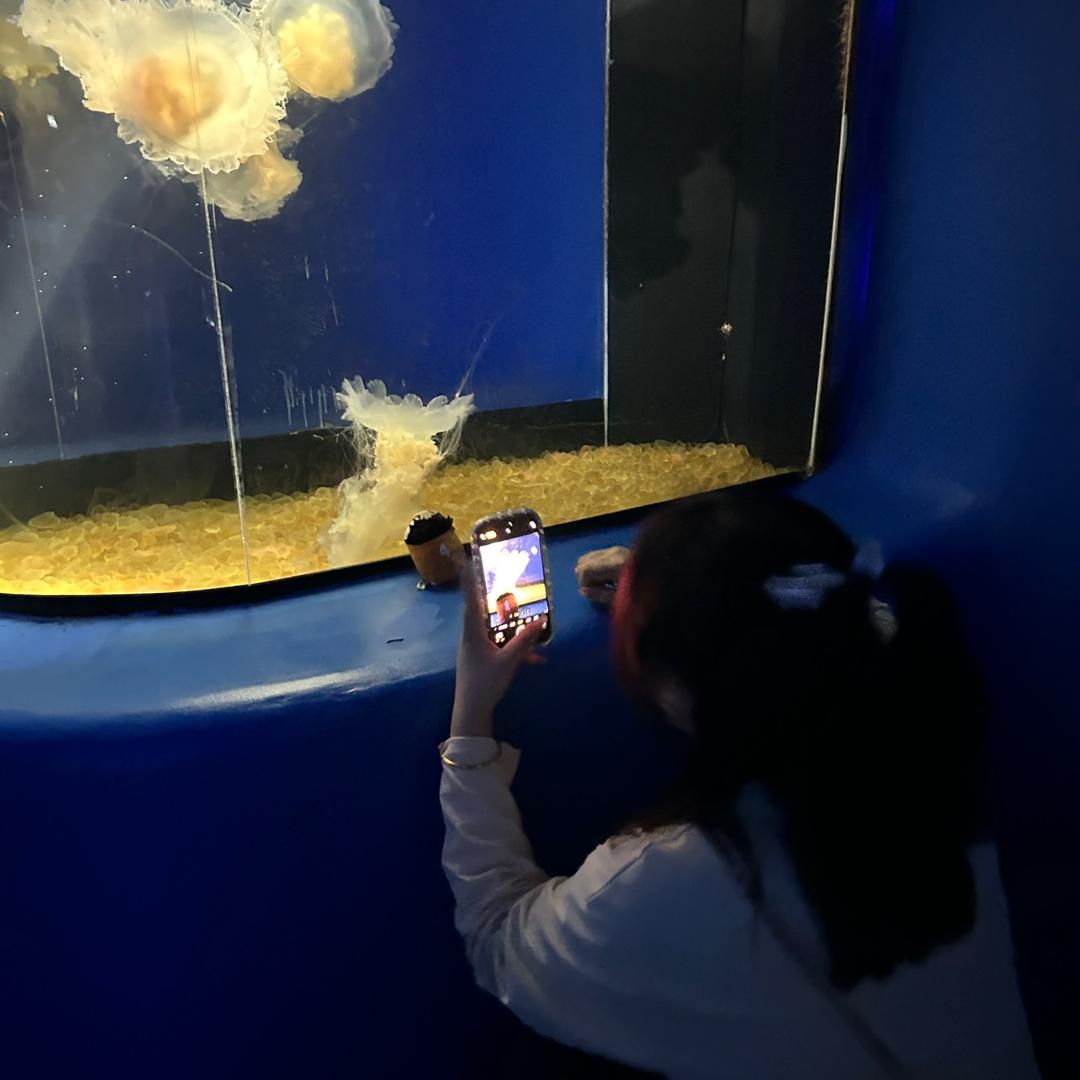 好想冬眠