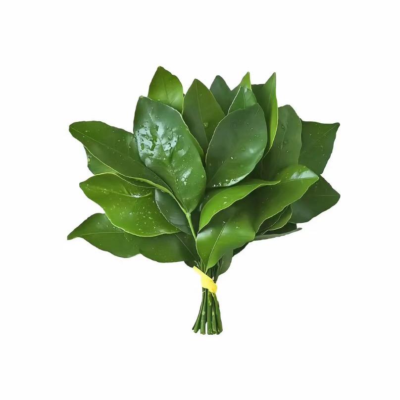 她不吃香菜