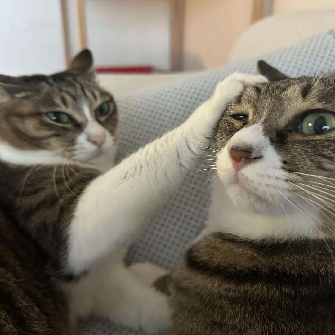 我呢