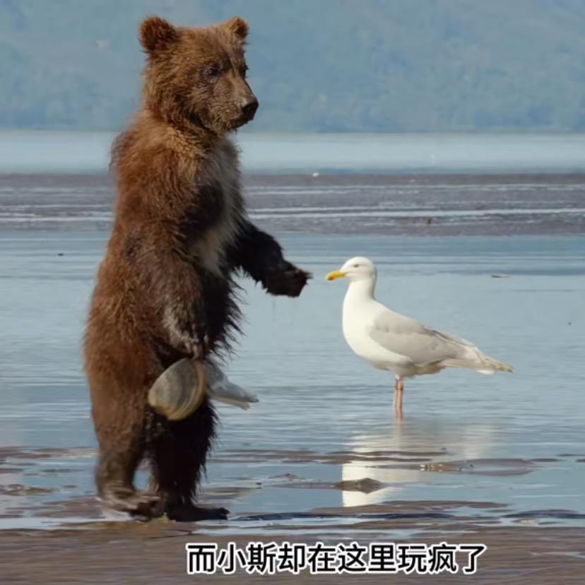 好出奇啊