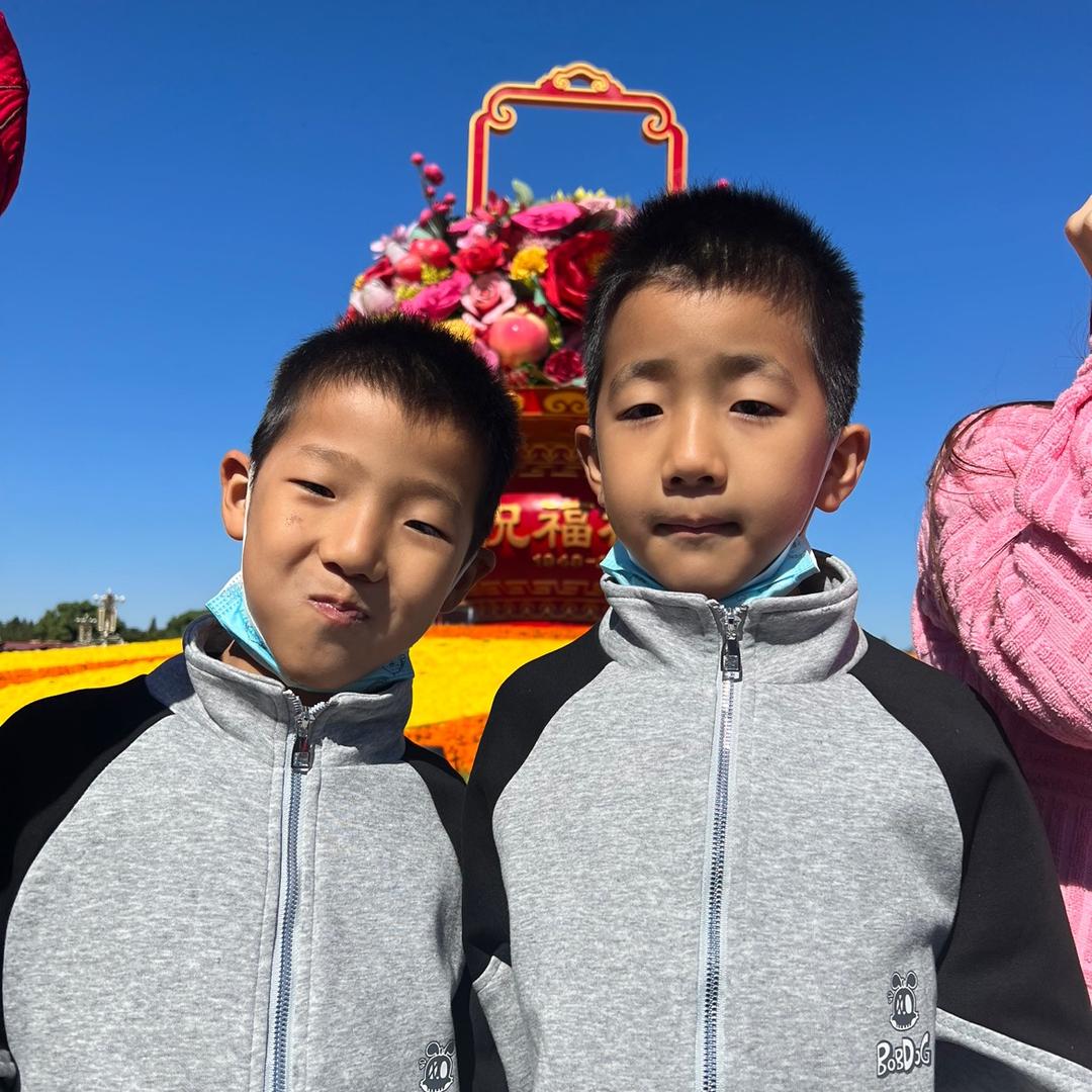 阳光下的懒猫🐱