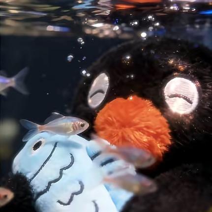 huaaaaaj（看见我就让我滚去学习）