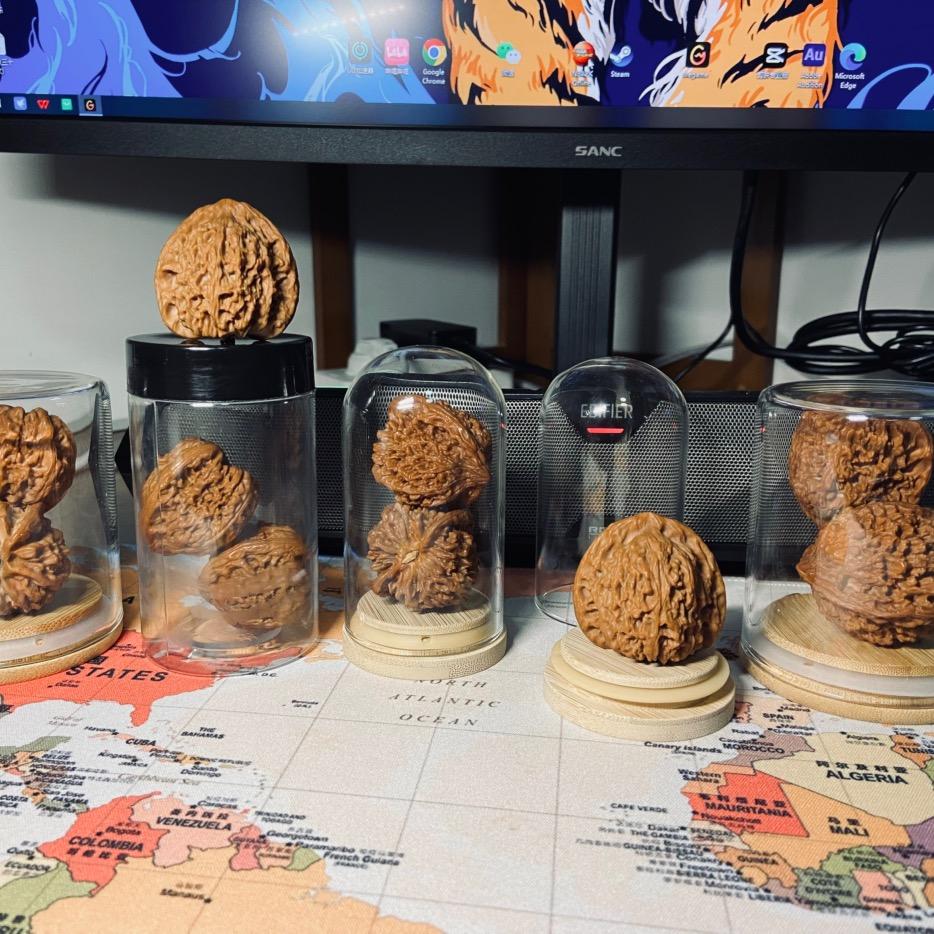 木木木木