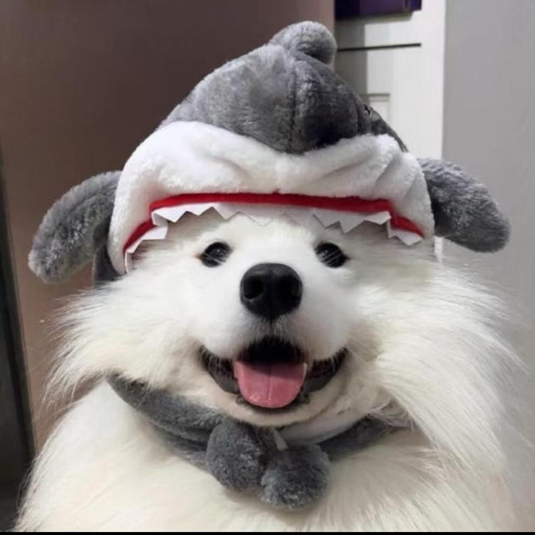 我是个人