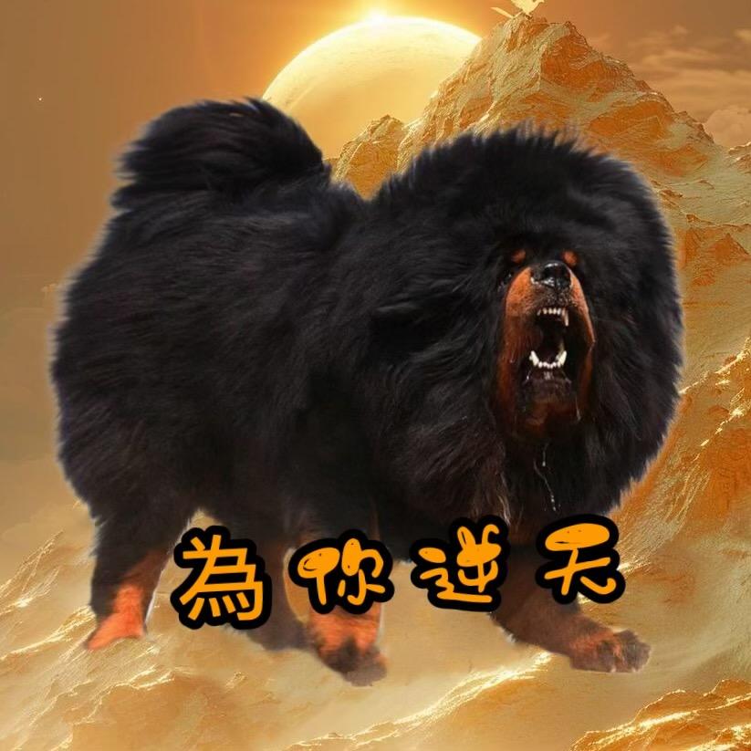 ༺ཉི།⁵²⁰ 為你逆天¹³¹⁴།ཉྀ༻