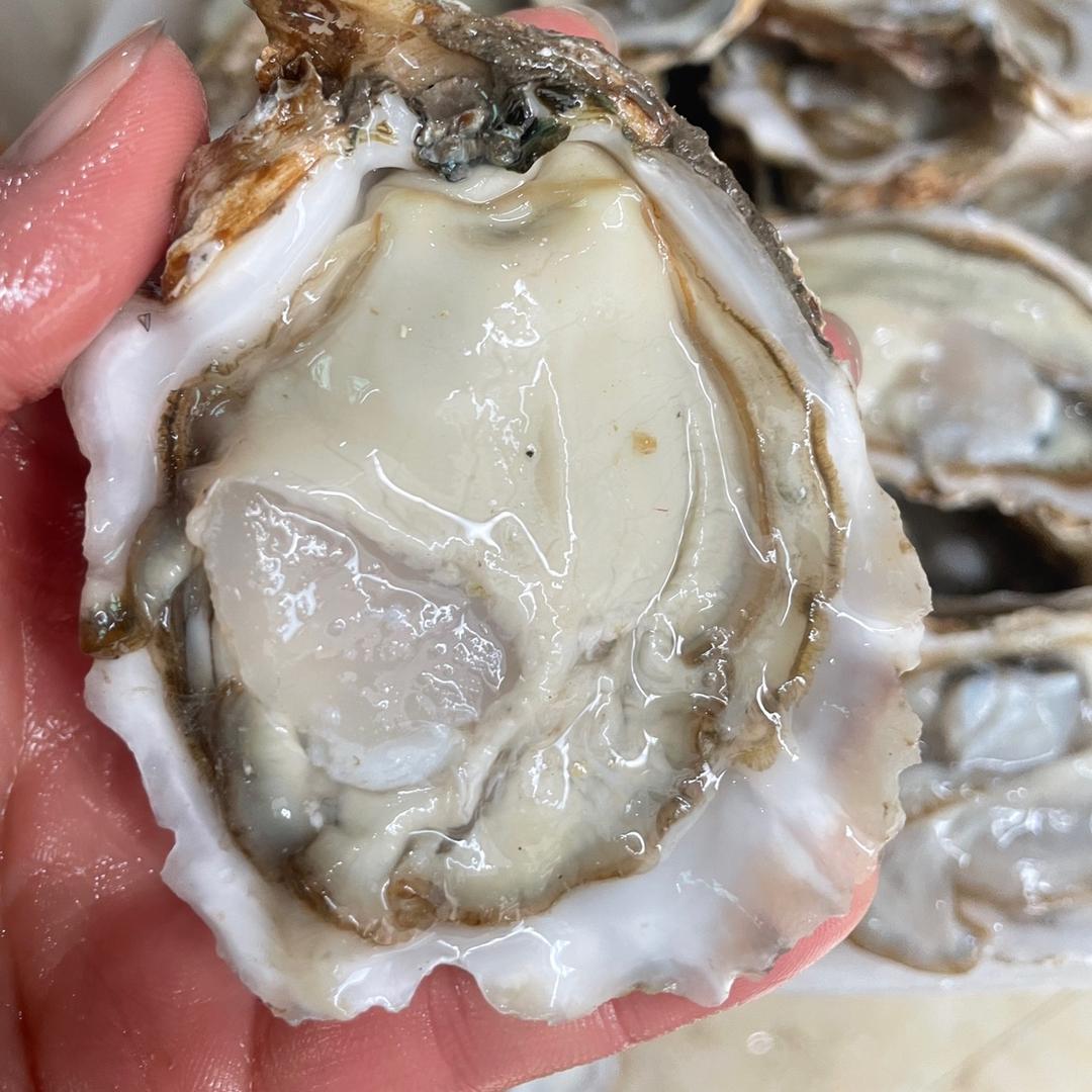 烤生蚝 .蚝滋味