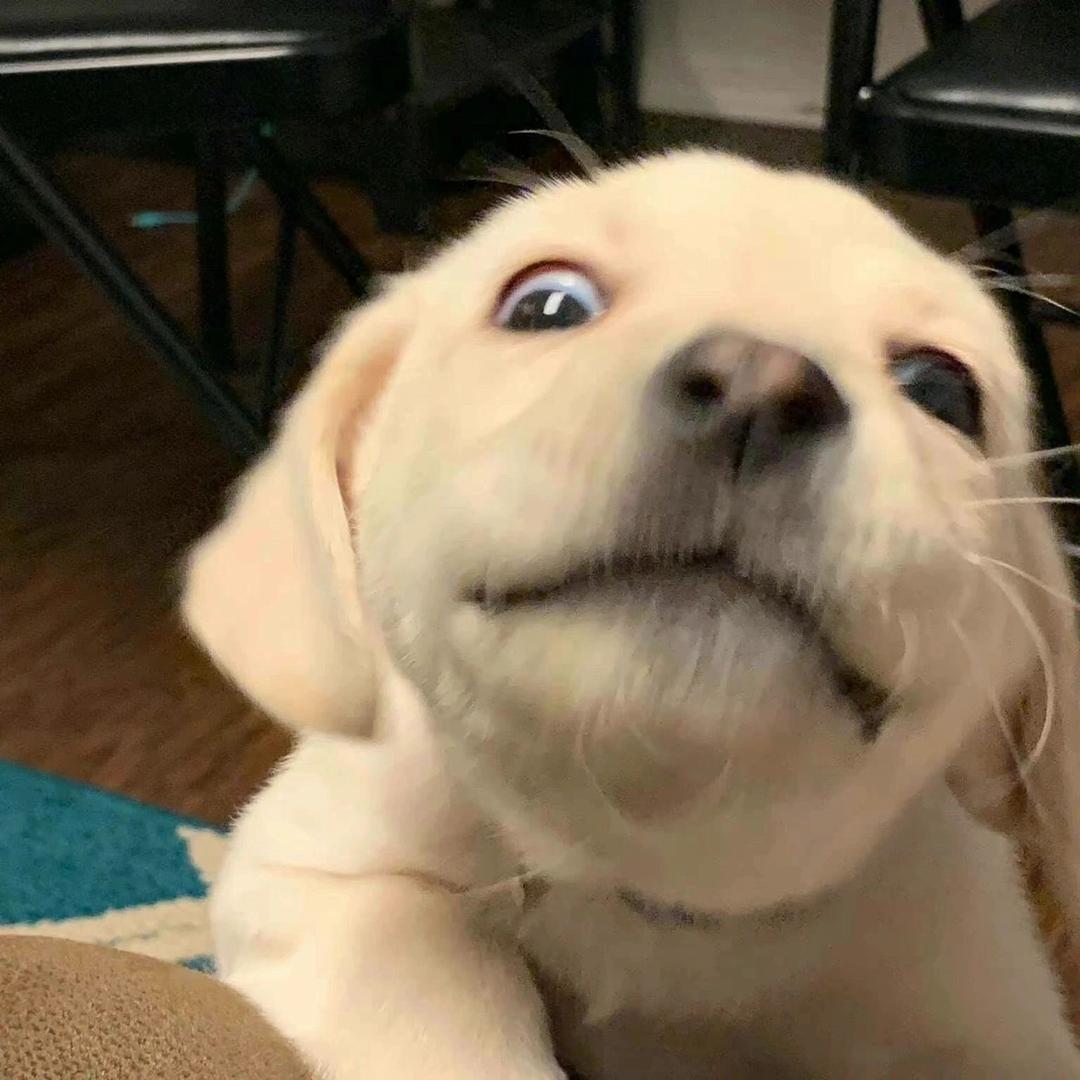爱吃火锅