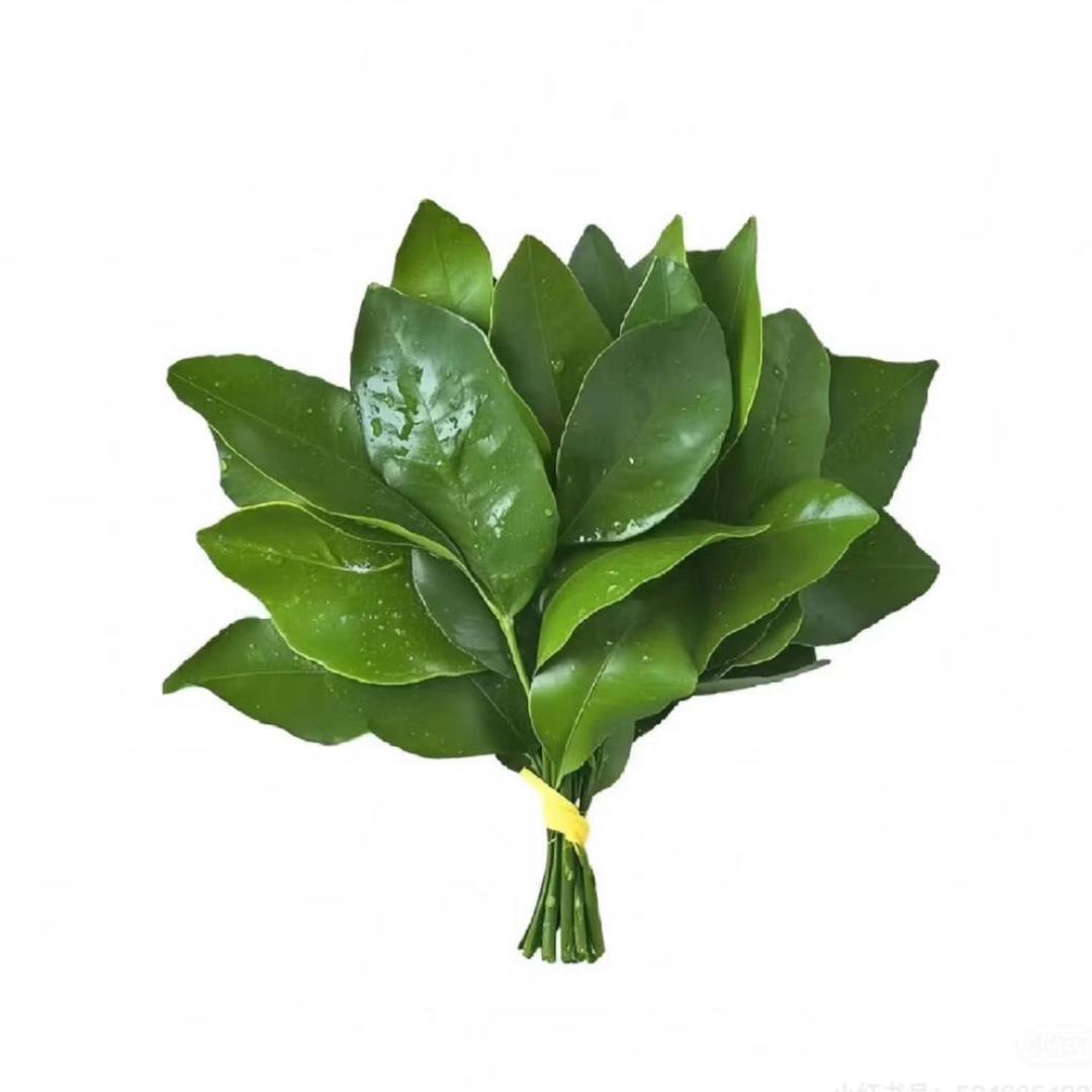 _忧郁螺蛳粉.