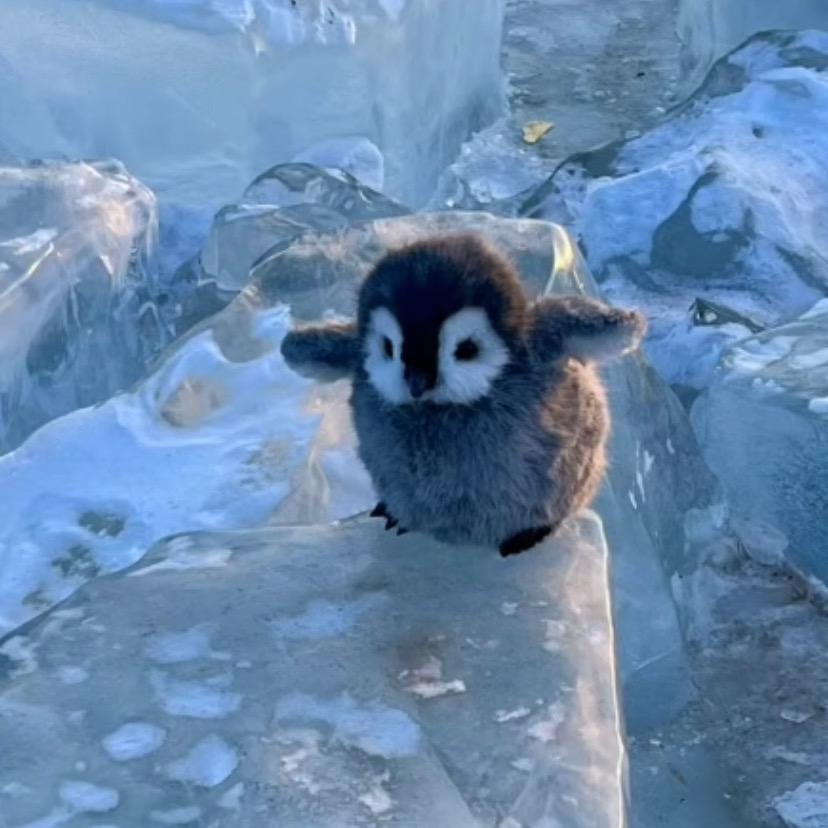 ❄️ ㅤ