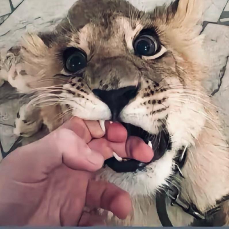 赚T一个亿的哥哥