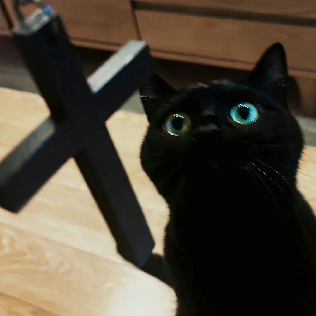 过期笨蛋