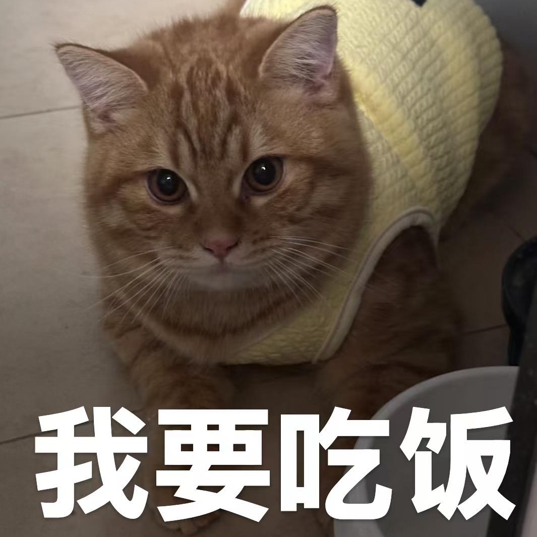 江南娜娜子
