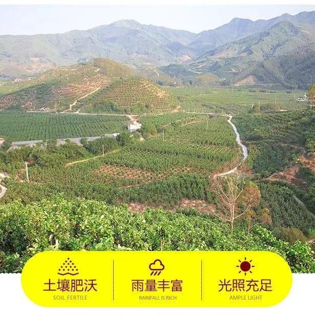 速鲜谷