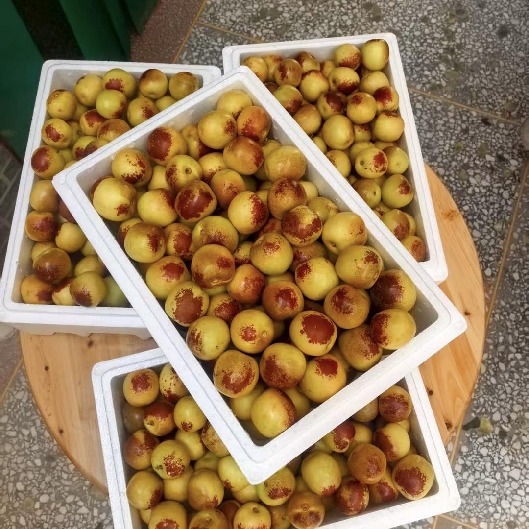 大荔豪食惠网络农产小铺子