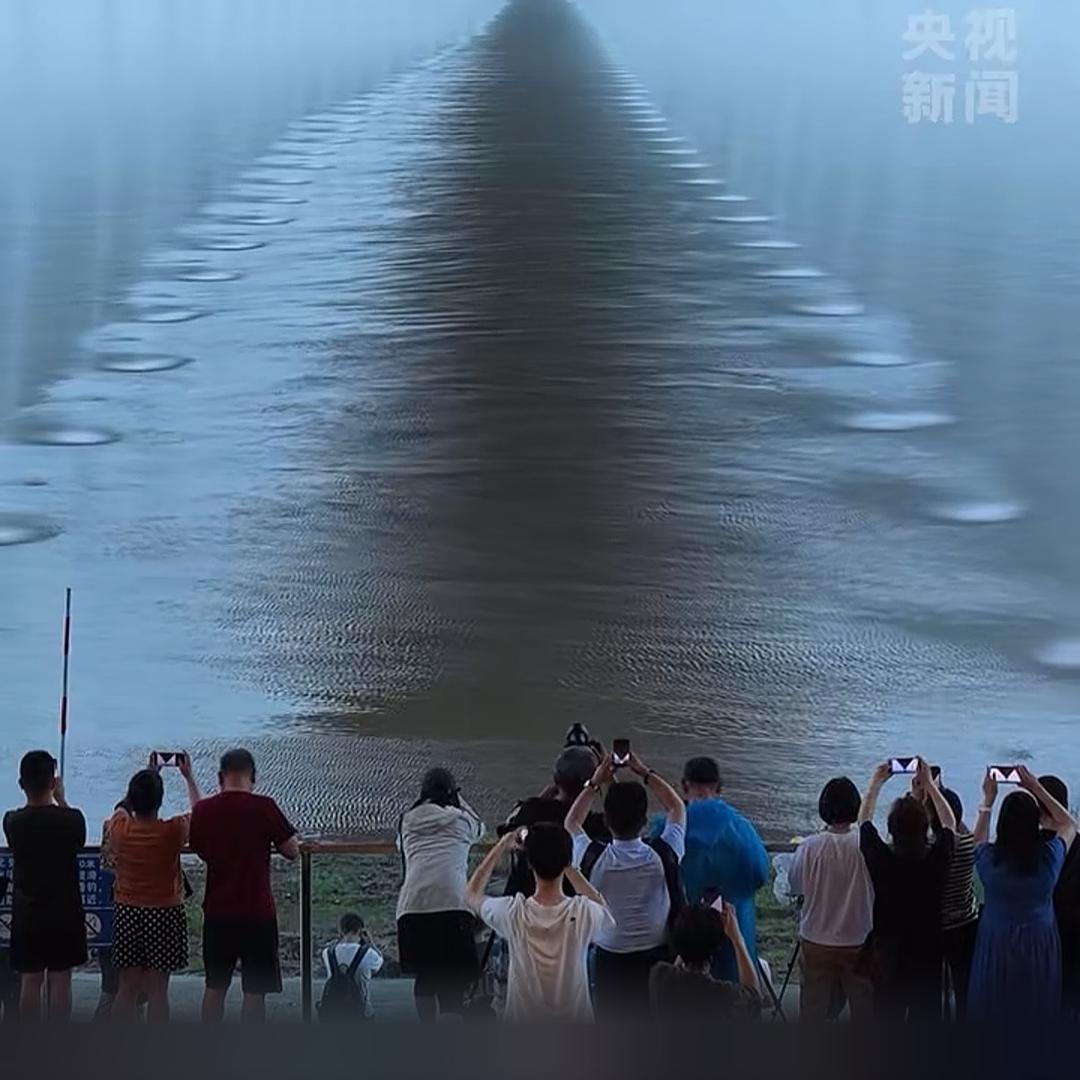一龙哥