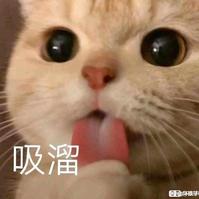 鱼龙潜跃水成文