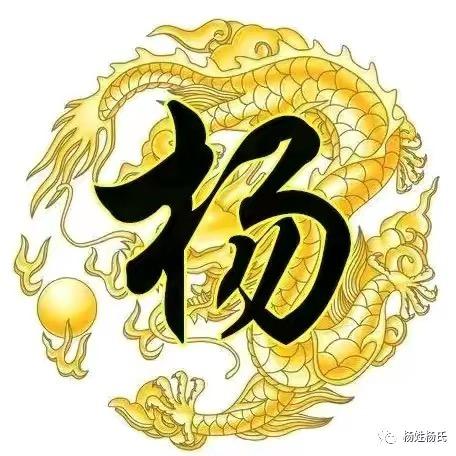 杨少