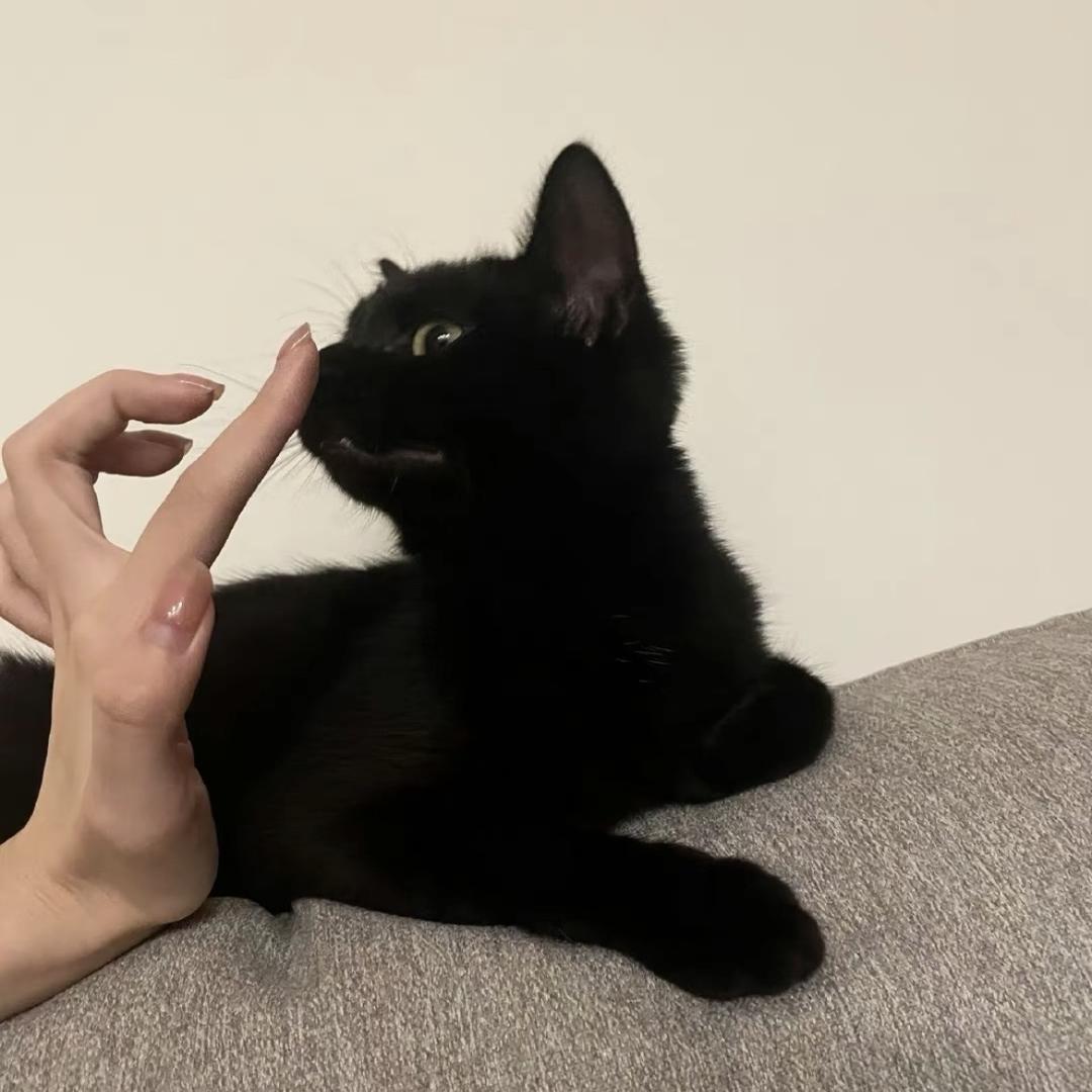 .y