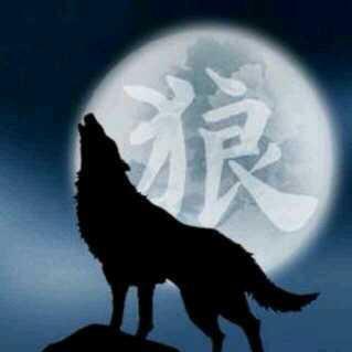 北方的狼族