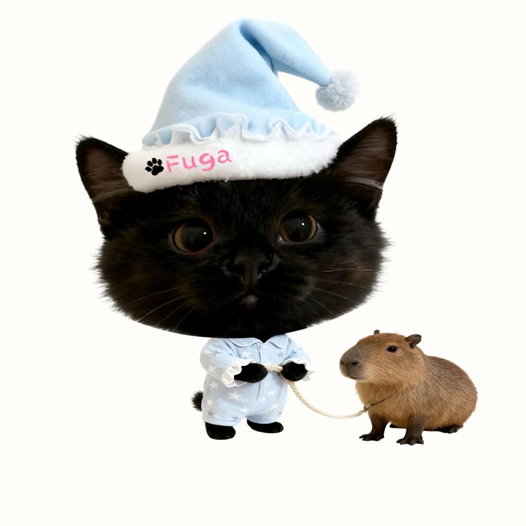 豆丁包子面坨坨