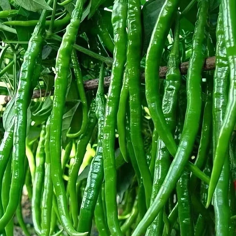 新沂小满优品生活坊