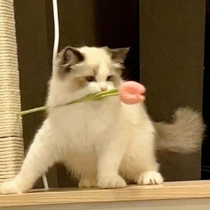 Xxxxxx