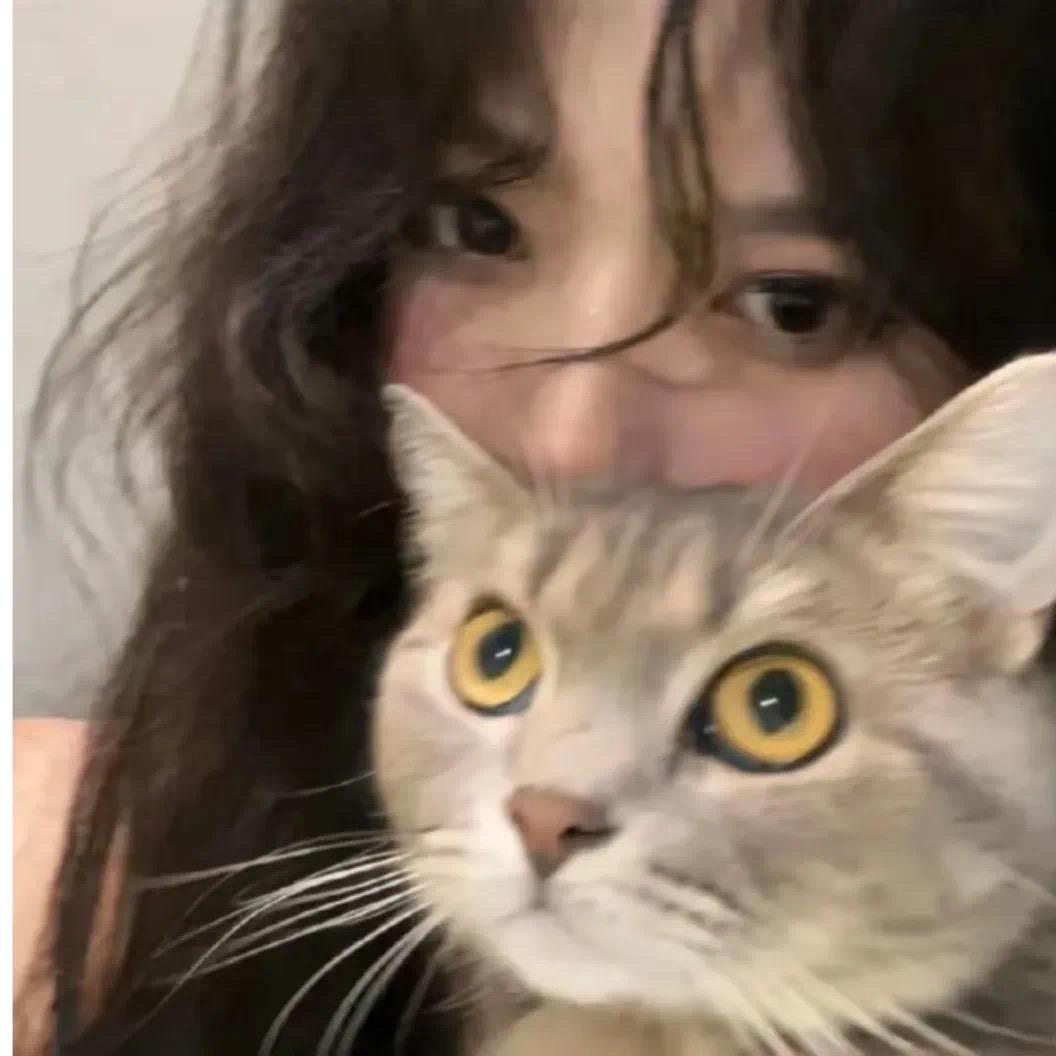越越✨