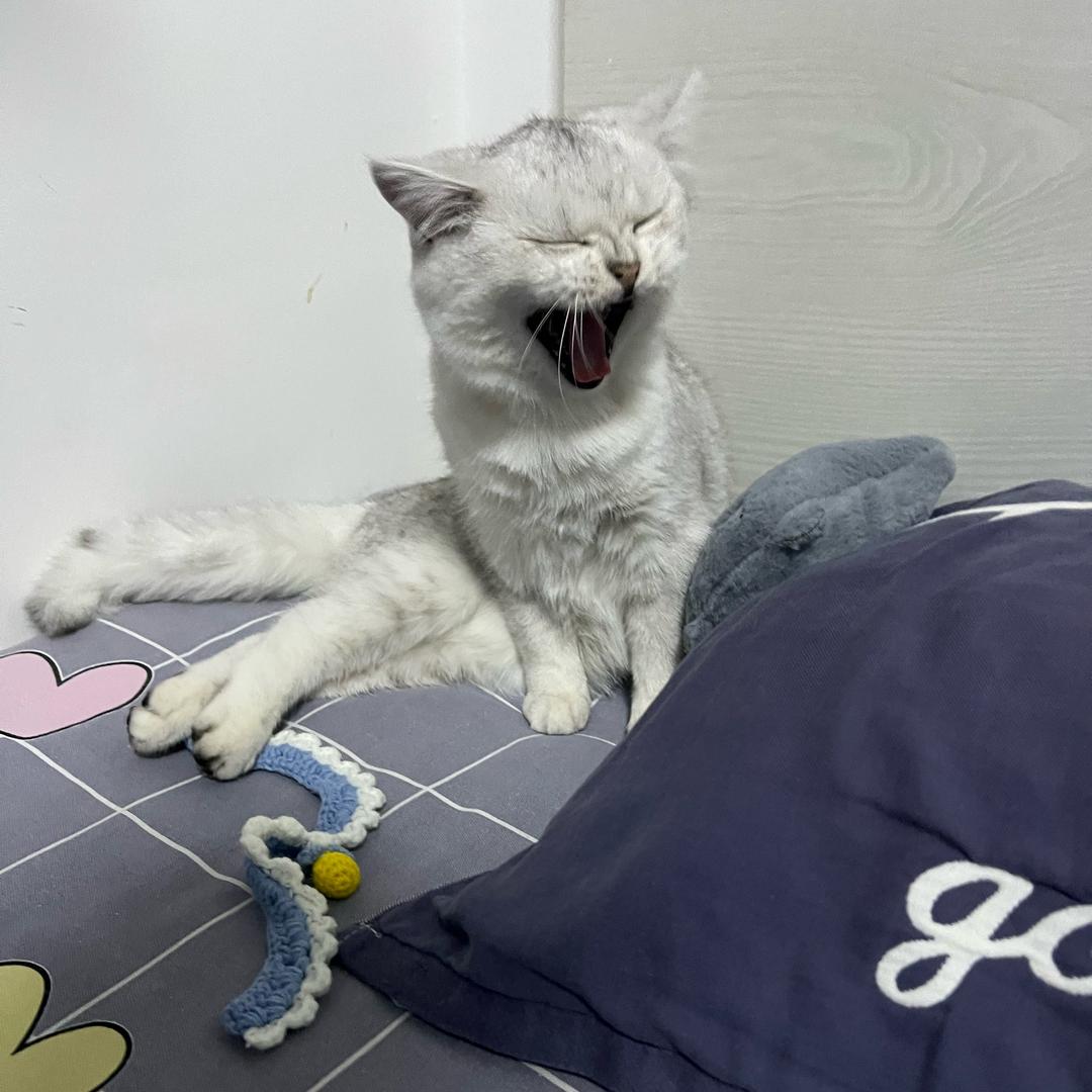 来福的日记