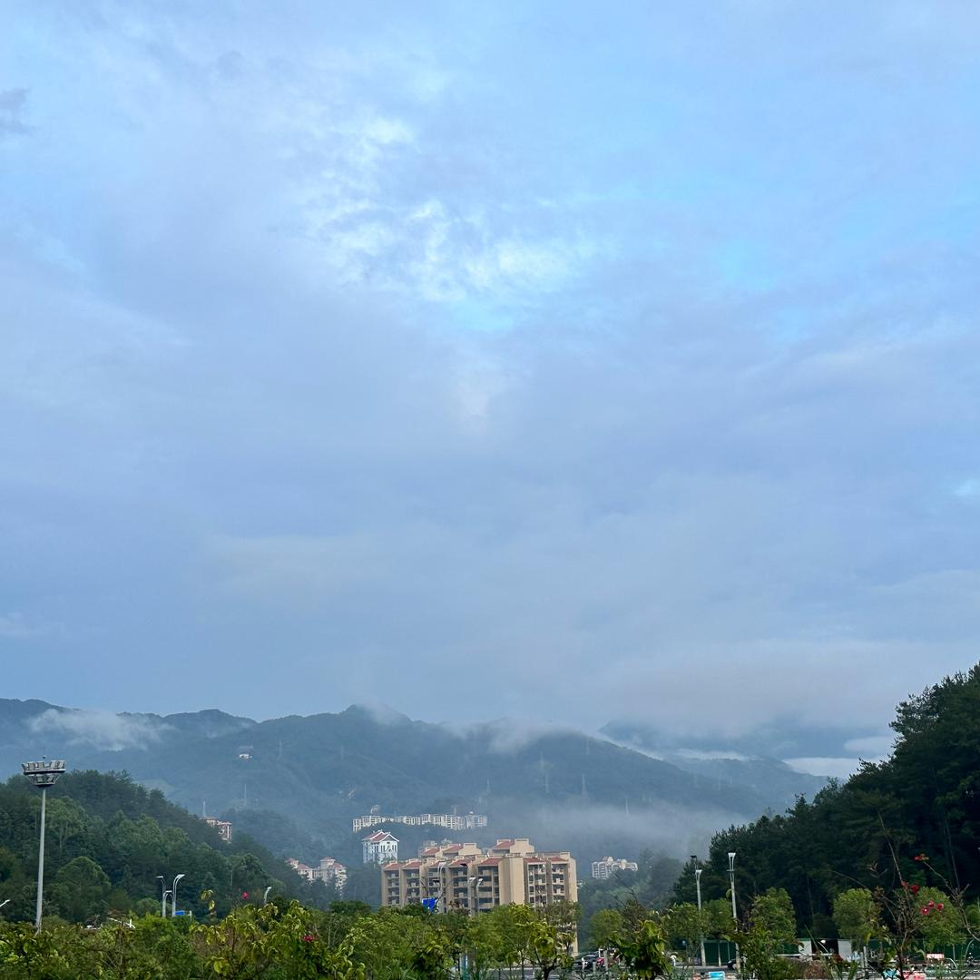 骑着蚂蚁逛大海