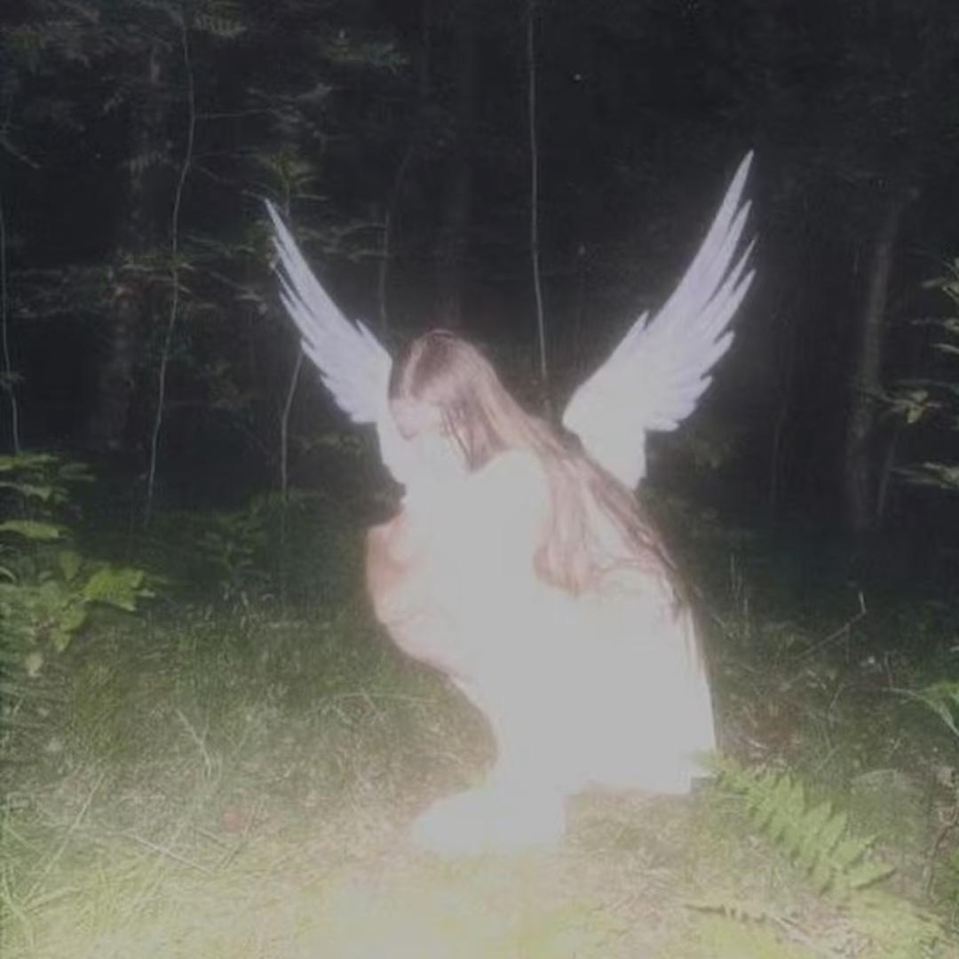 惒