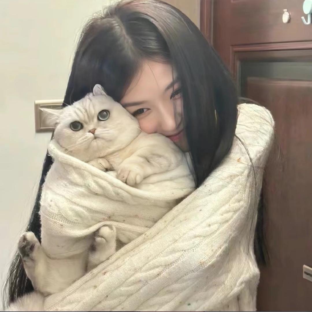 半山月