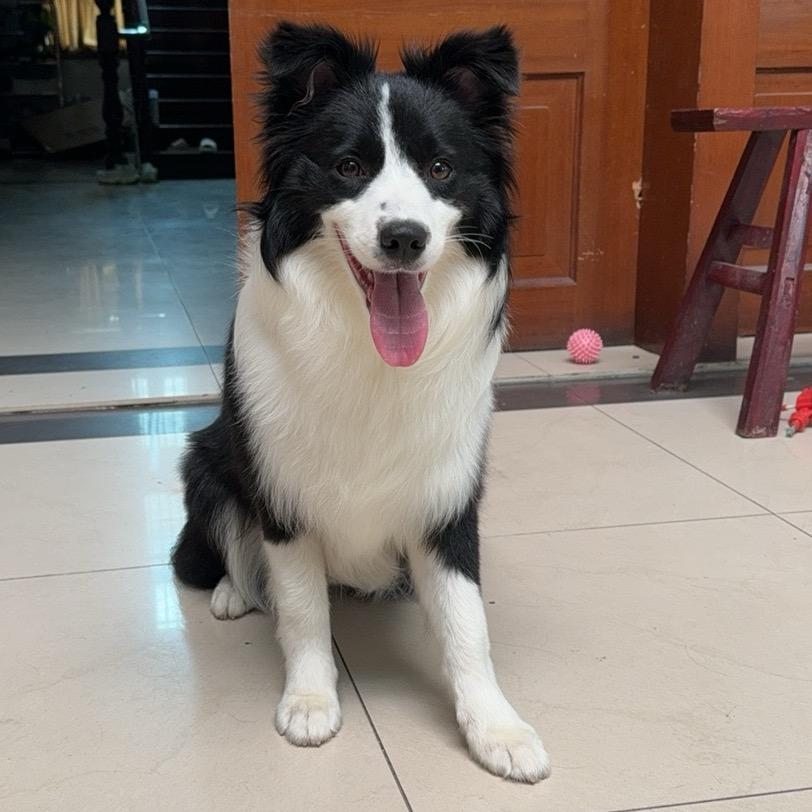 言止于心