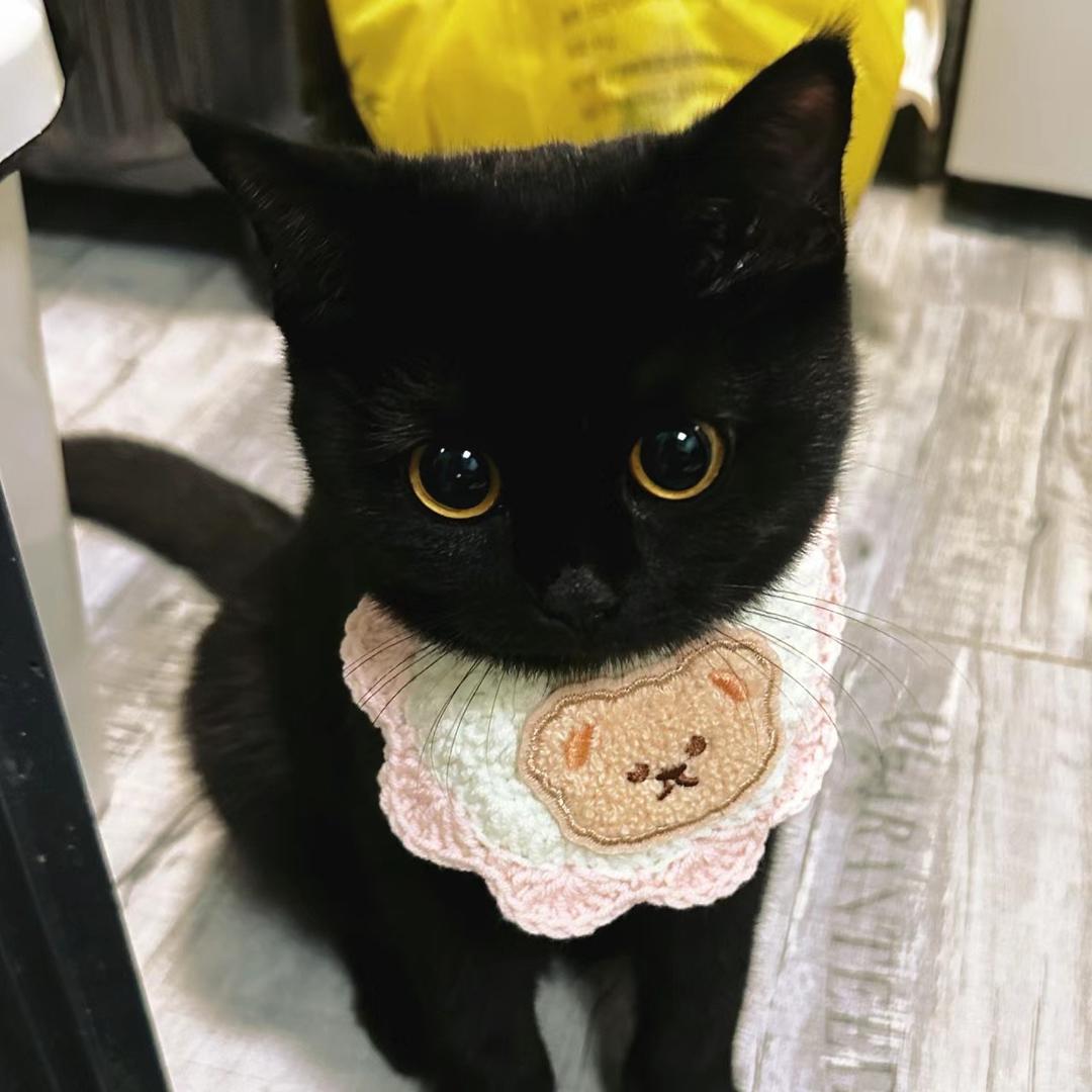 Ariadne’s 魔法小铺