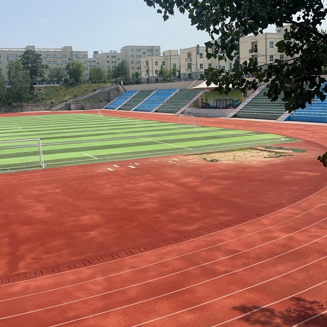 医学院校陈老师