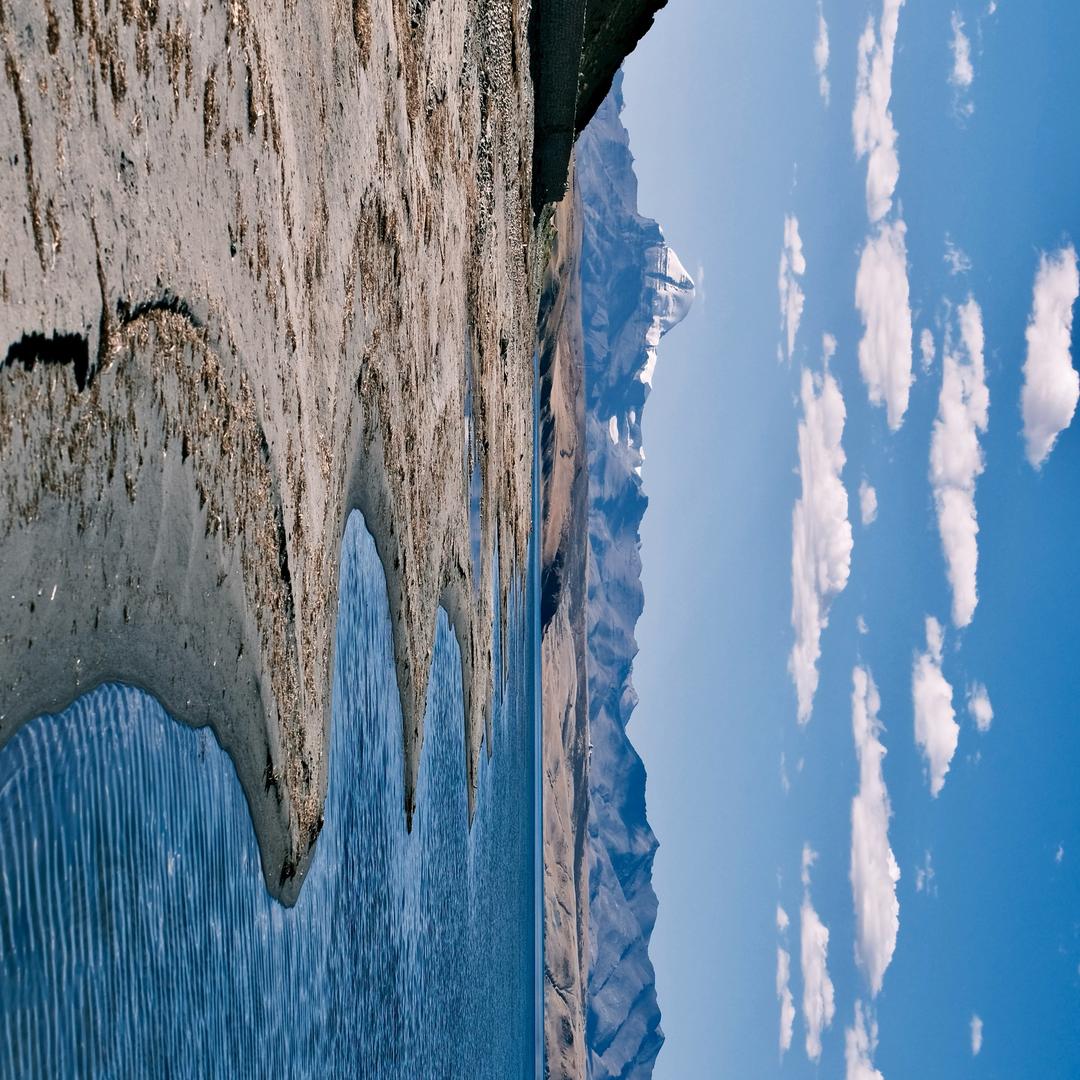 长调喂饱远山鹰