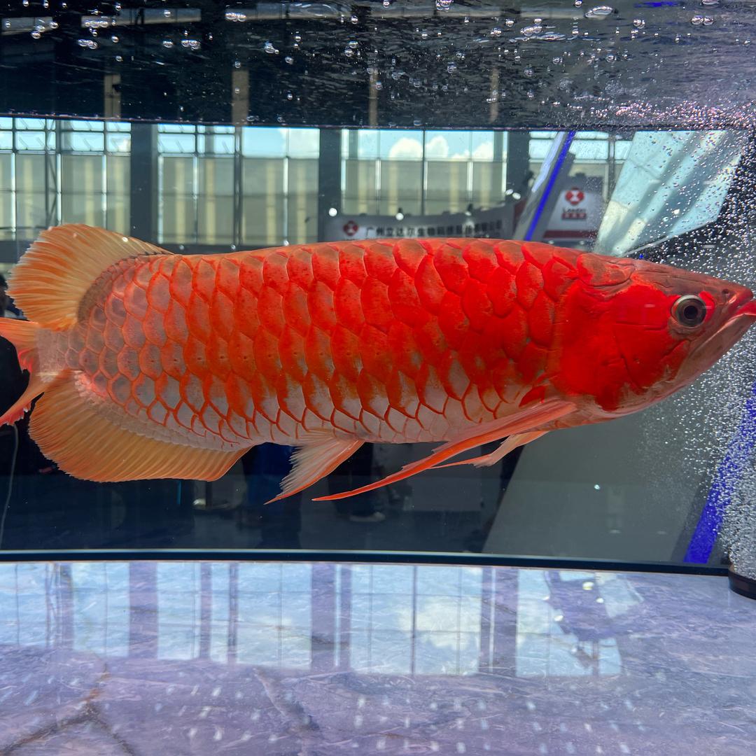 汇泽水族商贸