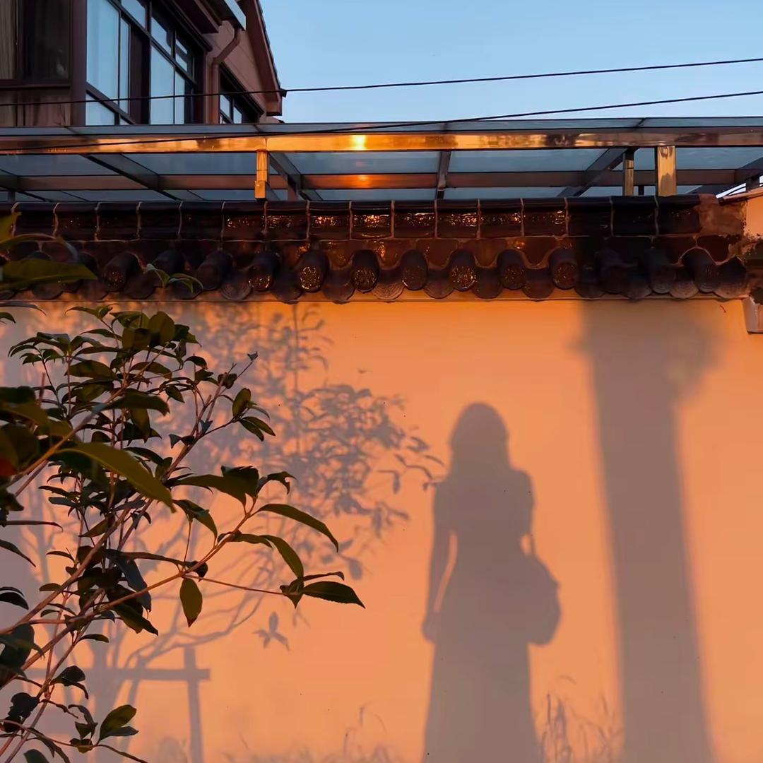 我看了62次日落