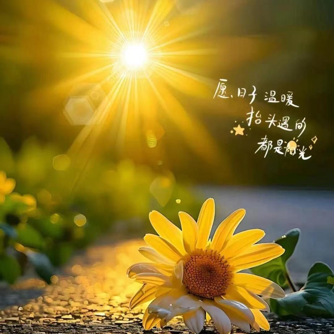 周口市川汇区鸣璐百货零售商行（个体工商户）