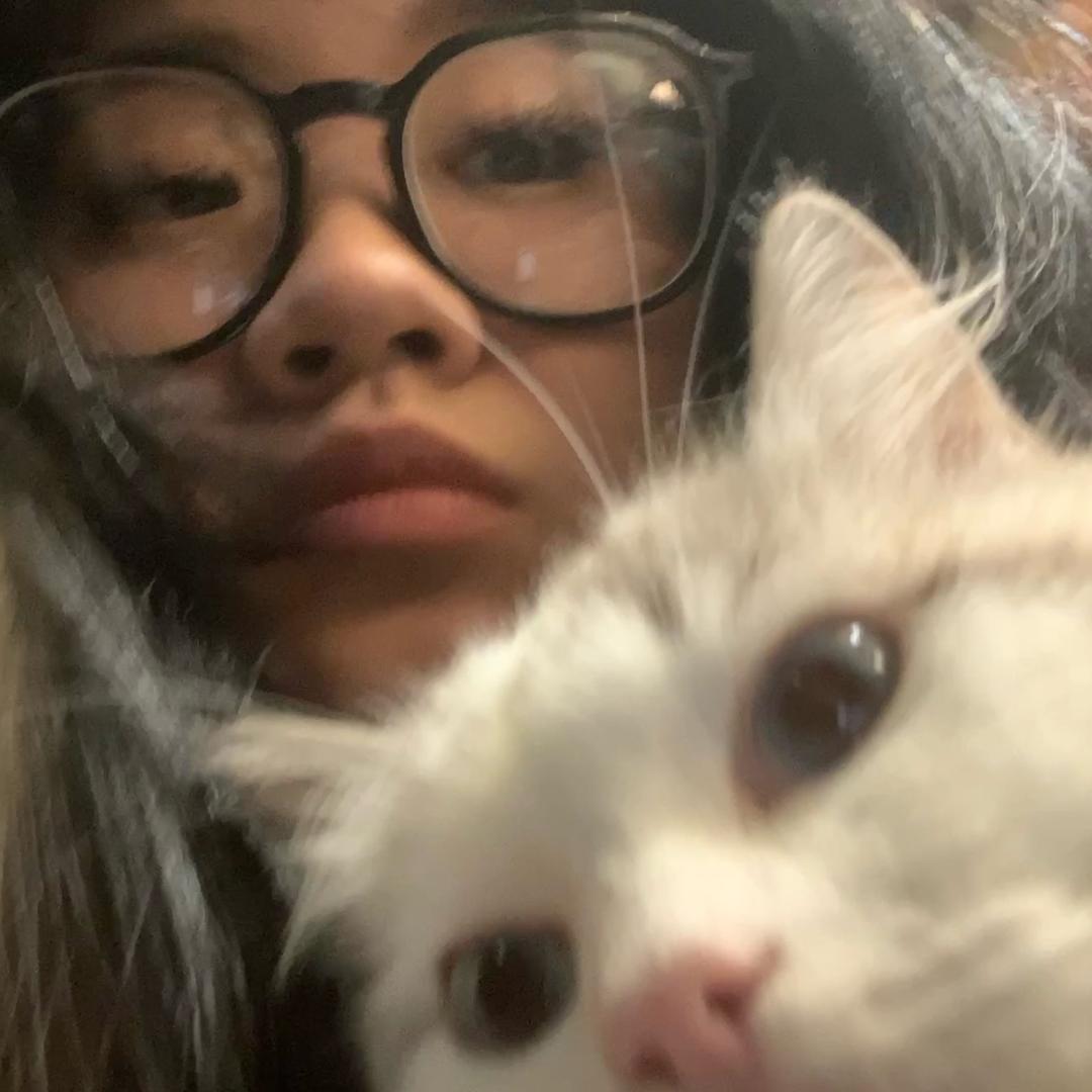 下辈子当一只流浪小猫咪。