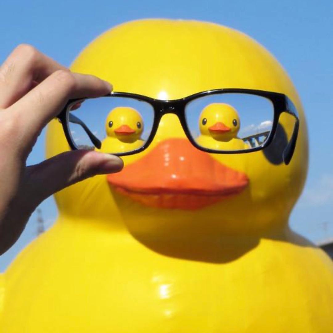 暖通大黄鸭-嘎嘎